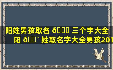 阳姓男孩取名 🐝 三个字大全（阳 🐴 姓取名字大全男孩2019）